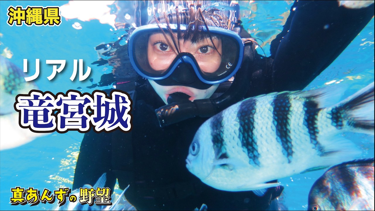 ツンするのは誰!? #旅行 #一人旅 #沖縄 #海 #グルメ #ドライブ #肉