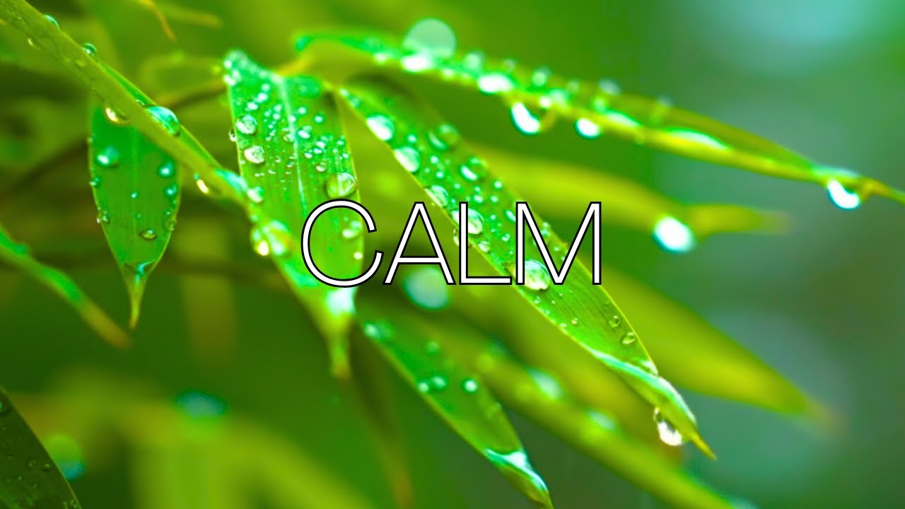 Soft Guitar Background Music | Chill Fingerstyle for Reading, Relax & Stress Relief