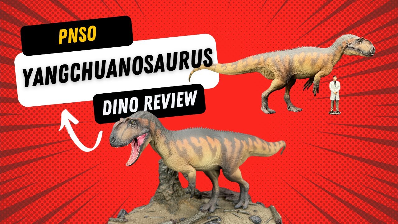 Yangchuanosaurus magnus dinosaur - PNSO - Review - 1:35 scale Dinosaur Museum line