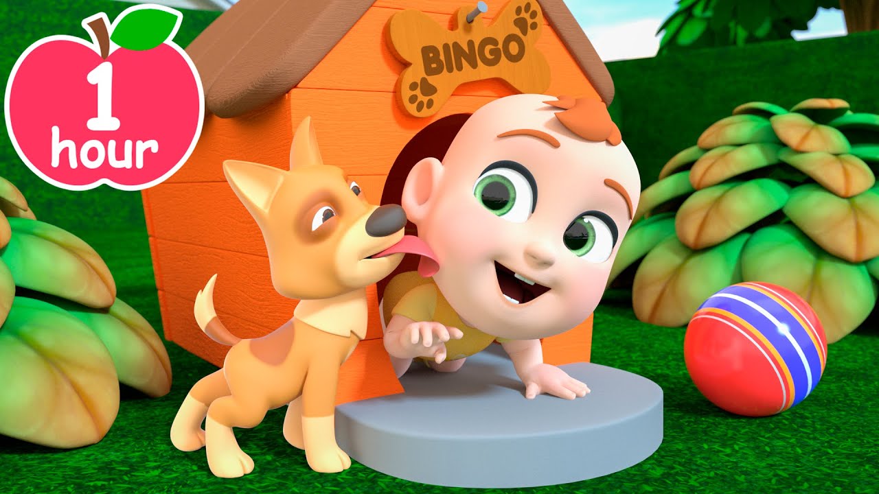 Bingo Song (Newborn Version) | Newborn Baby Songs & Nursery Rhymes