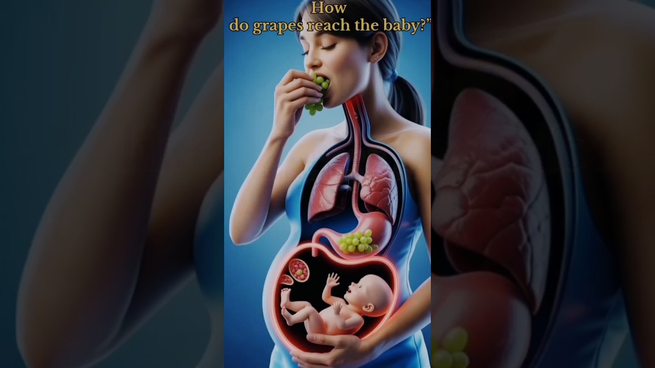 What Happens When a Pregnant Woman Eats Grapes? | 3D Medical Video