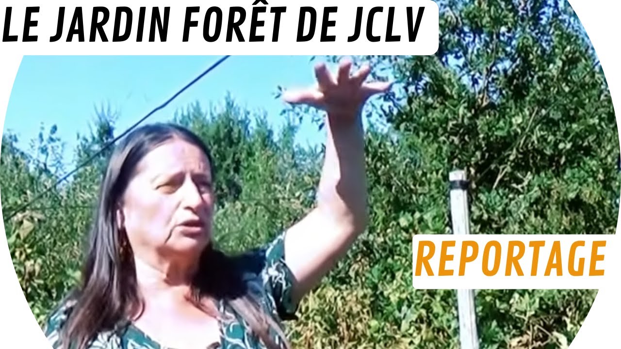 Reportage au jardin-forêt de Jardins Créatifs Liens Vivants