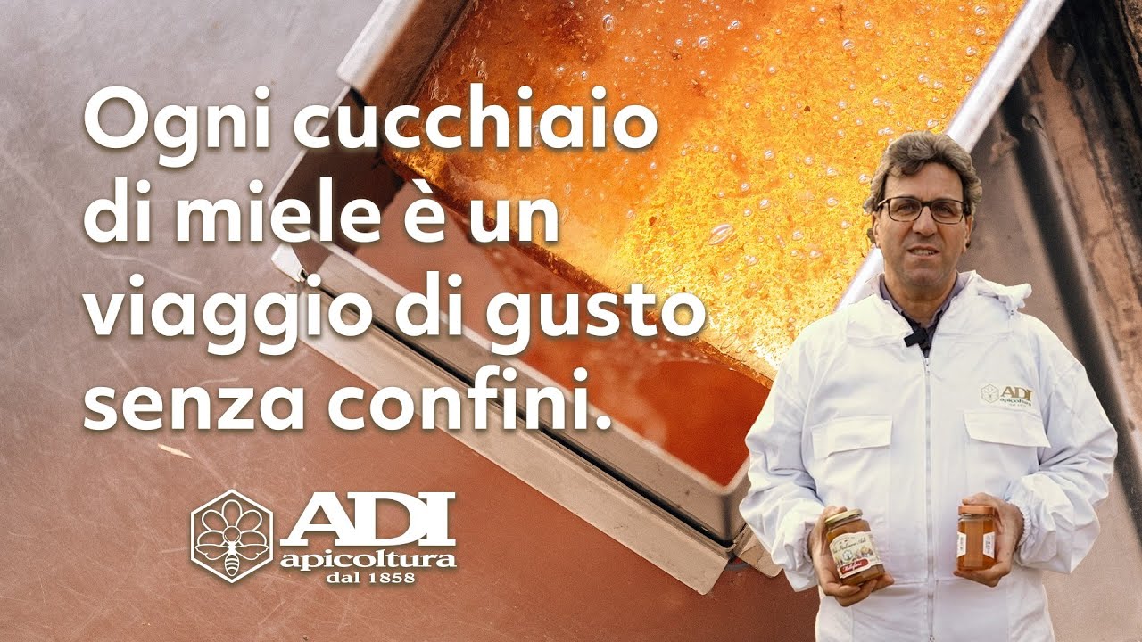 Quando il miele ti porta in viaggi di gusto senza confini.
