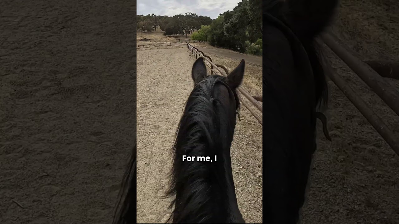 Teaching How To Steer: Part One