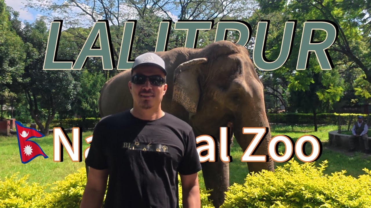 Lalitpur National Zoo My last day Tour in Nepal🇳🇵