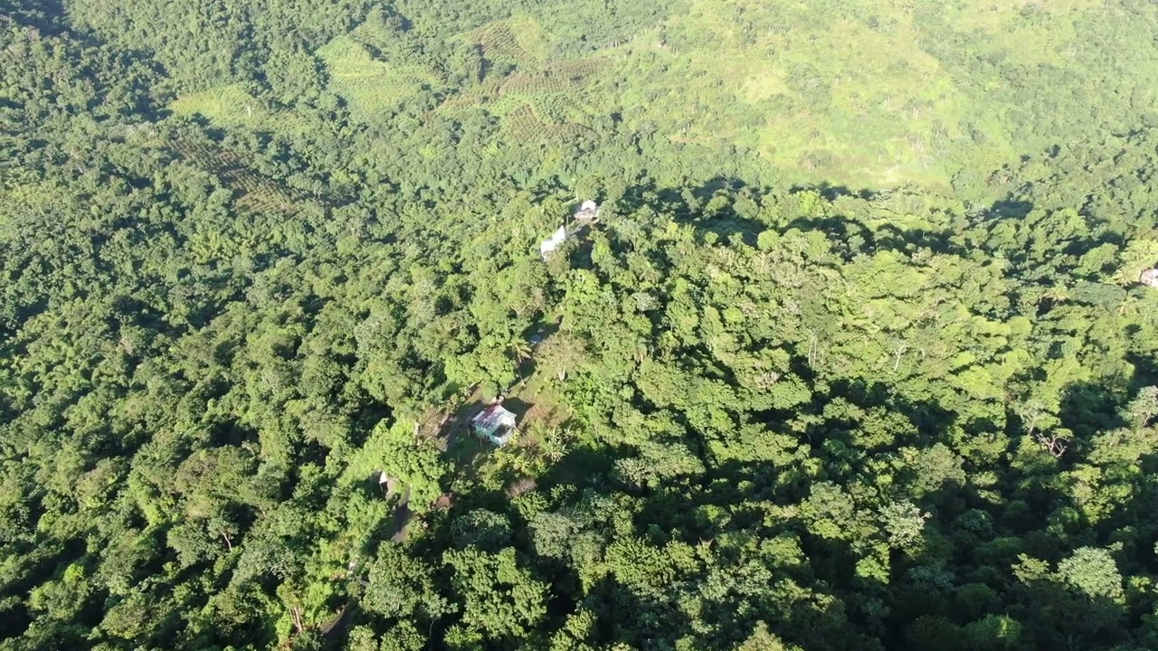 Drone Footage of Casa Yoga in the Mountains of Puerto Rico