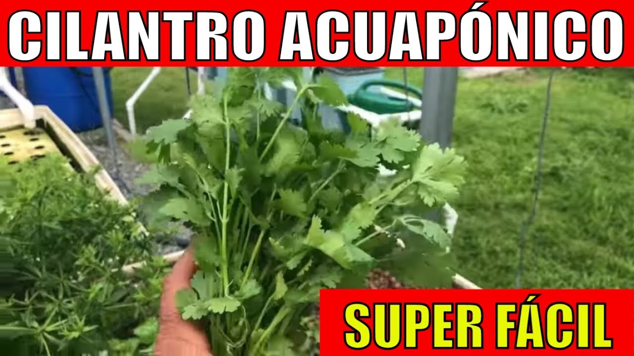 😎АКВАПОННАЯ СИСТЕМА С КИНЗОЙ😁 || ВСЕ ПОНИКИ