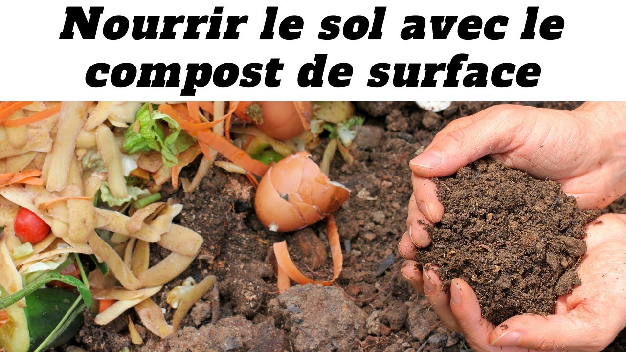 Nourrir le sol - Compost de surface au potager : C'est quoi ? Pourquoi ? Comment ?