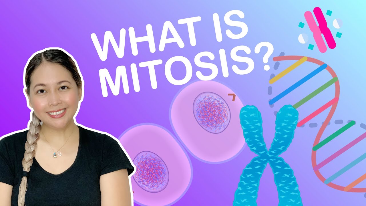 What is Mitosis? | SHE-ensya Lecture Series (Genetics and Molecular Biology)