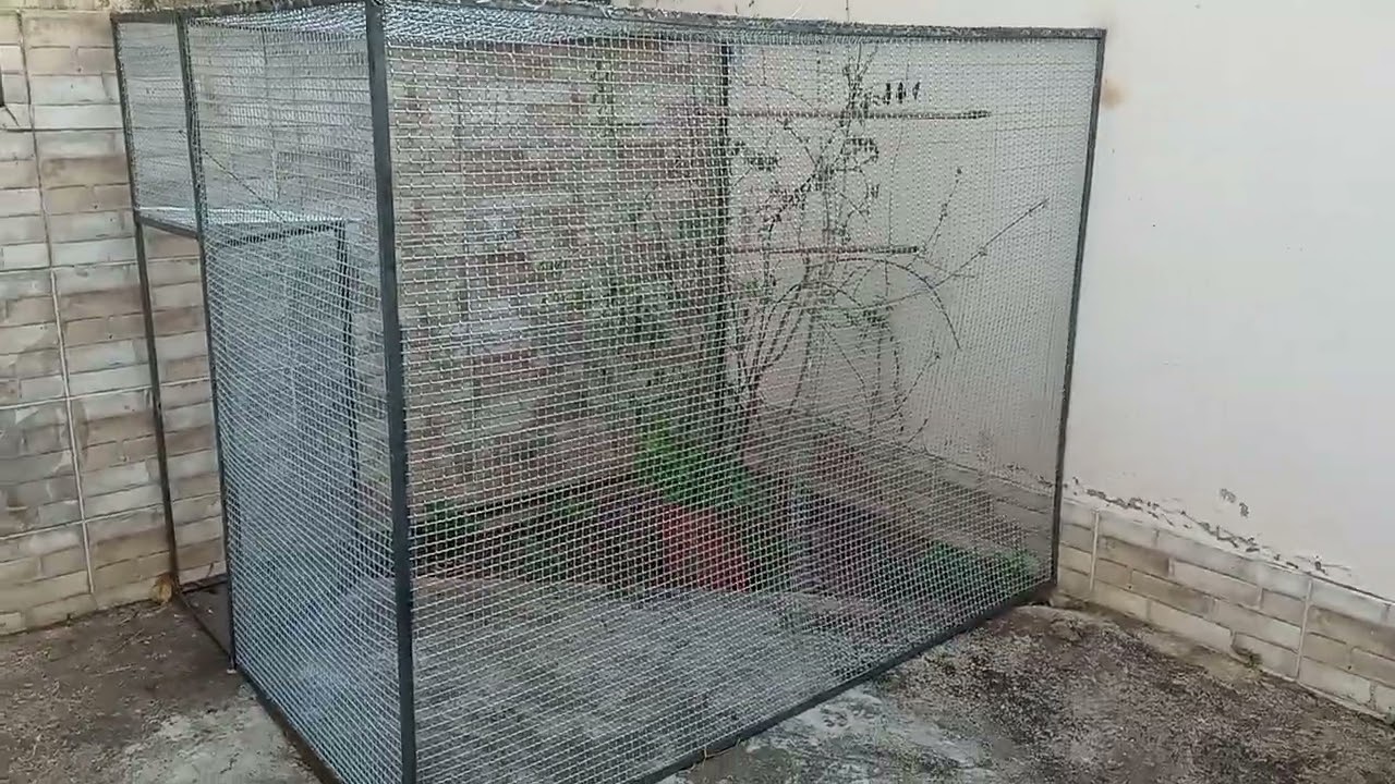 Viveiro externo 1,5m x 2 m