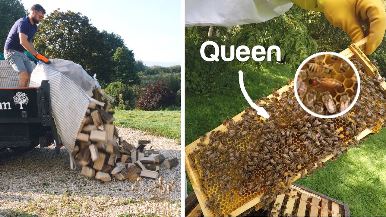 Sustainable Firewood & Finding the QUEEN bee! | Smallholding Vlog