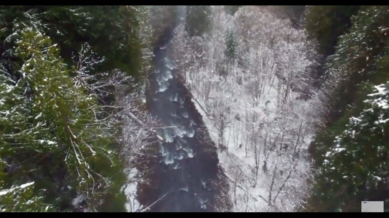 I Love Oregon, drone footage.  Mckenzie River.  Bigfoot???:).