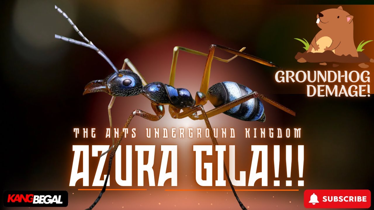 AZURA CRAZY!!! | PvE FORMATION GROUNDHOG DEMAGE | The Ants Underground Kingdom