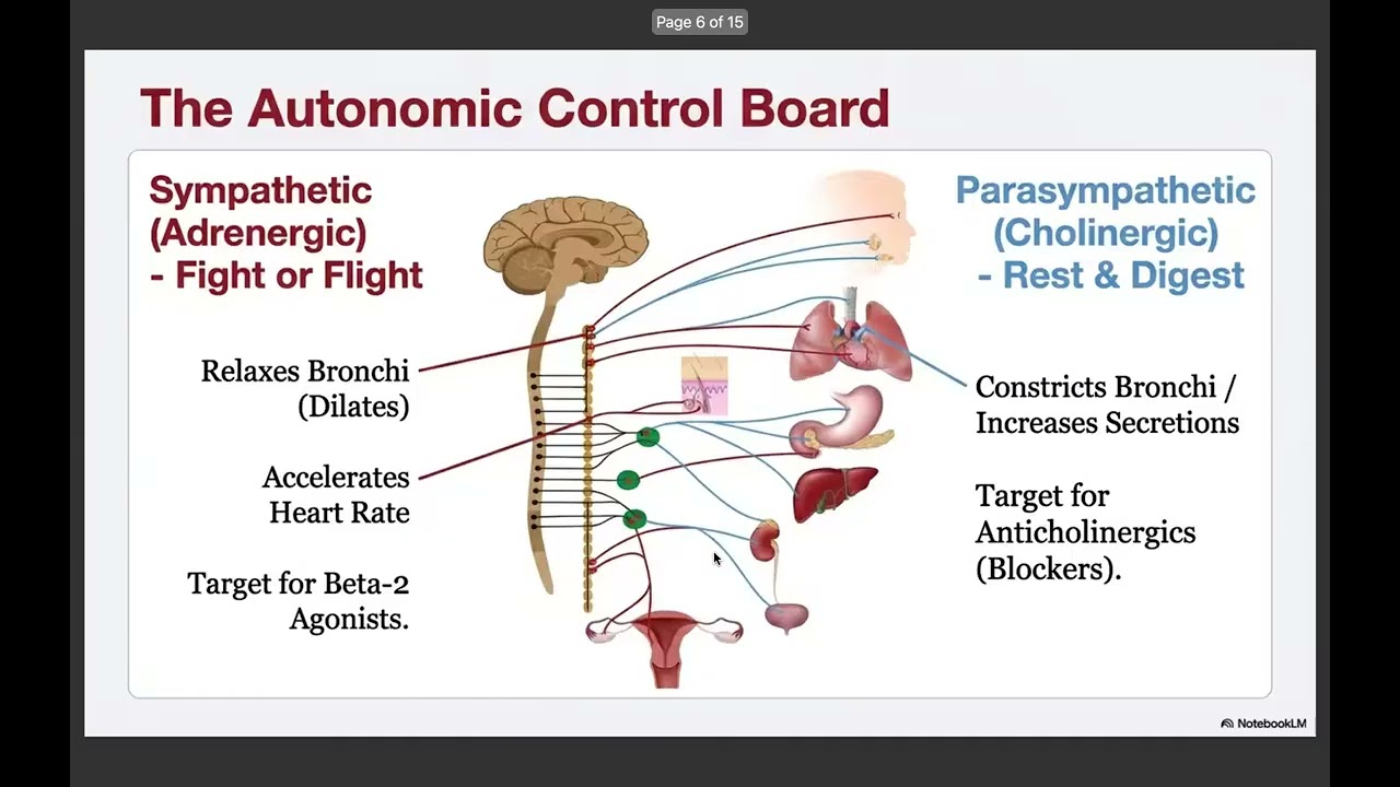 Cardio-Pulmonary Pharmacology