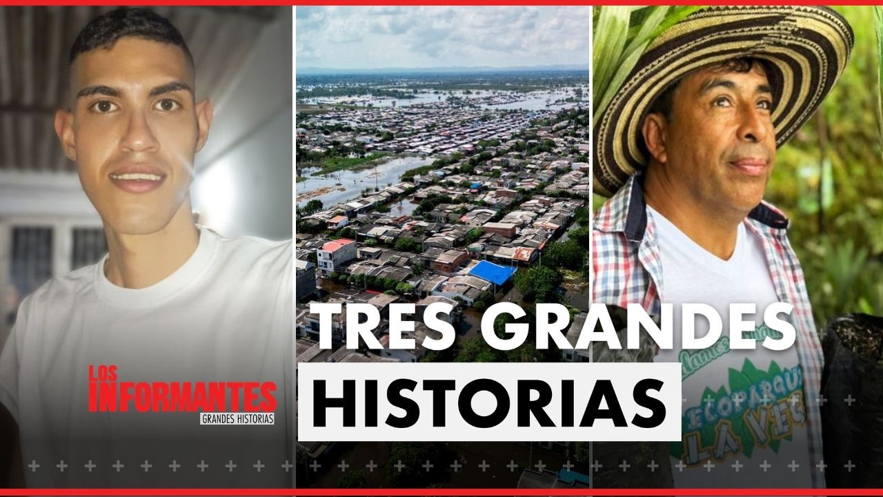 Los Informantes: anatom&iacute;a de una injusticia, despu&eacute;s del diluvio y el se&ntilde;or de las palmas