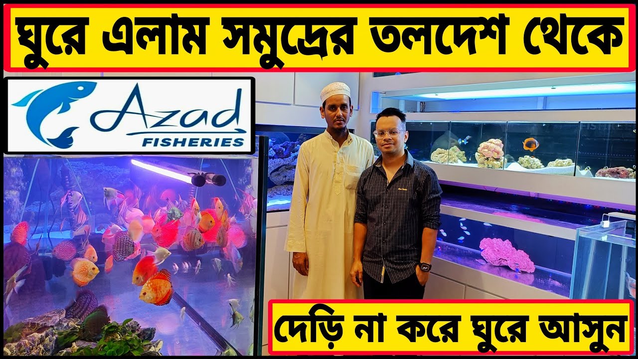 aquarium price in Bangladesh।aquarium fish price katabon।aquarium fish price in Bangladesh।aquarium