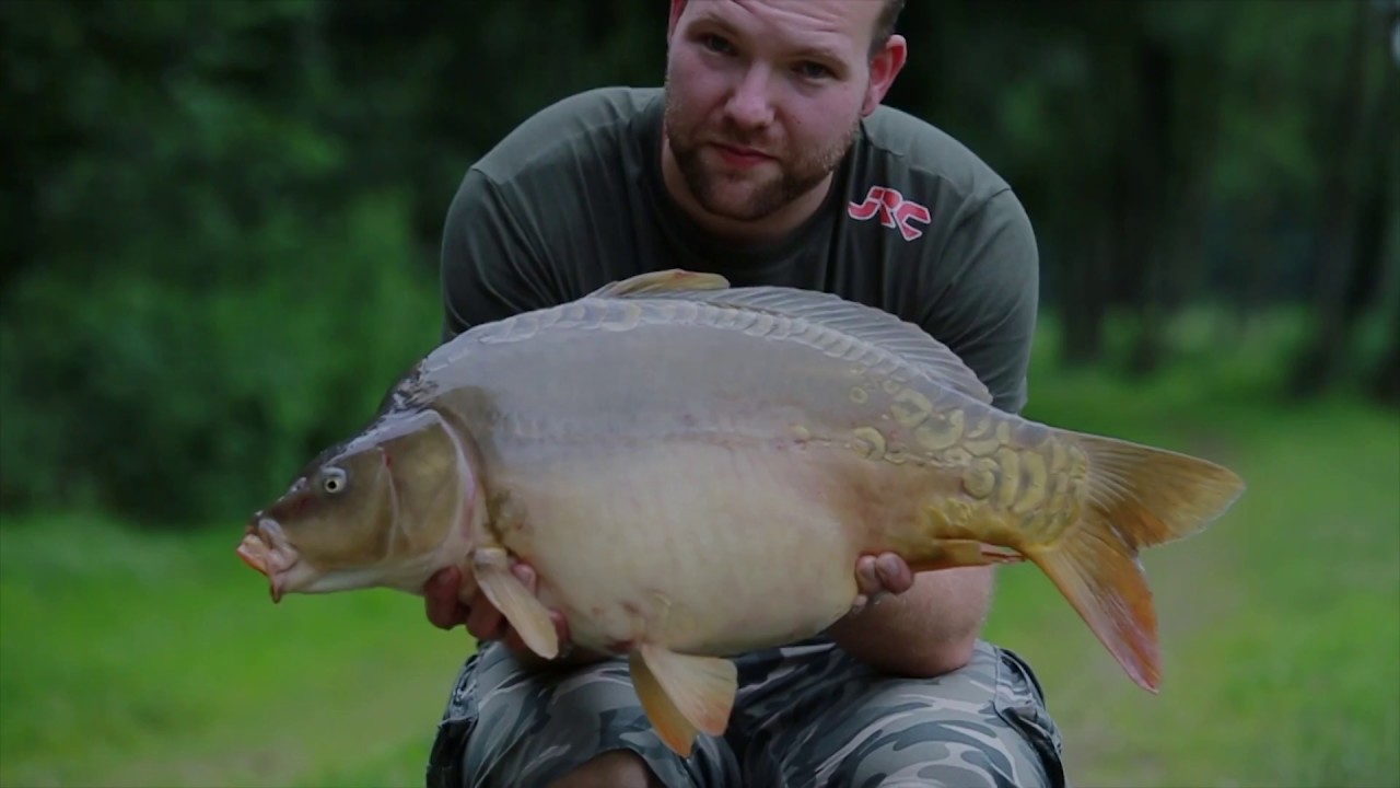CARPFISHING IN BELGIUM ON GILLS & SCALES KANAALKE 1