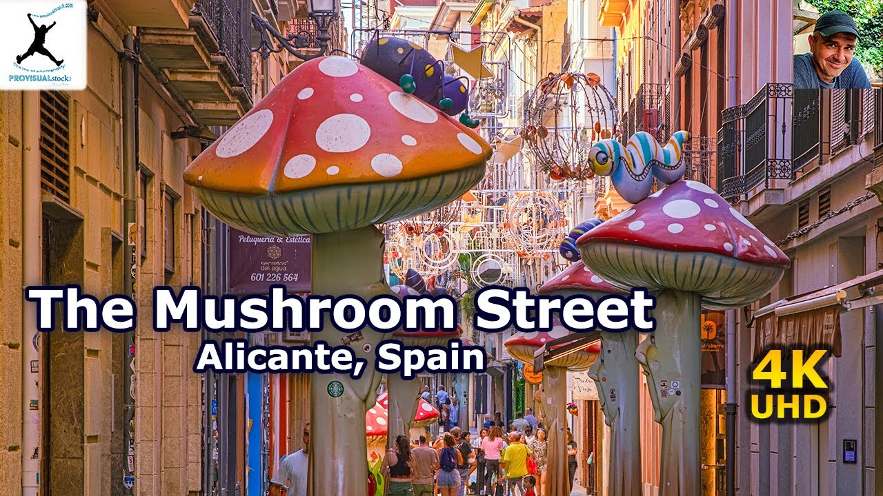Explore the Magic of Mushroom Street in Alicante, Spain