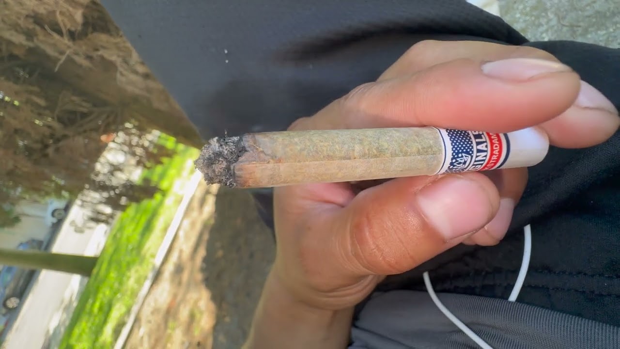 Originals: Oaksterdamn OG