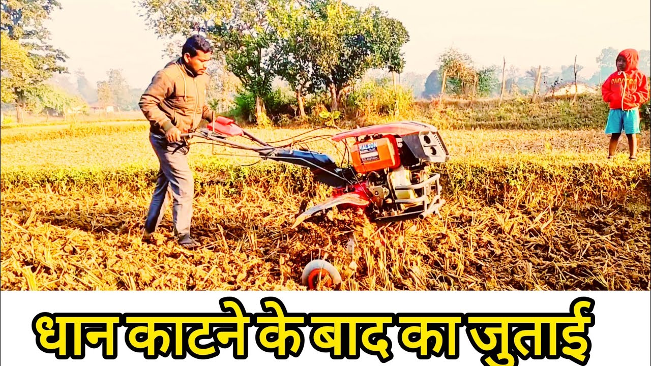 धान काटने के बाद का जुताई !! 12 hp Power Weeder !! #mgkisankabeta @sadabaharberoranchijharkha4099  