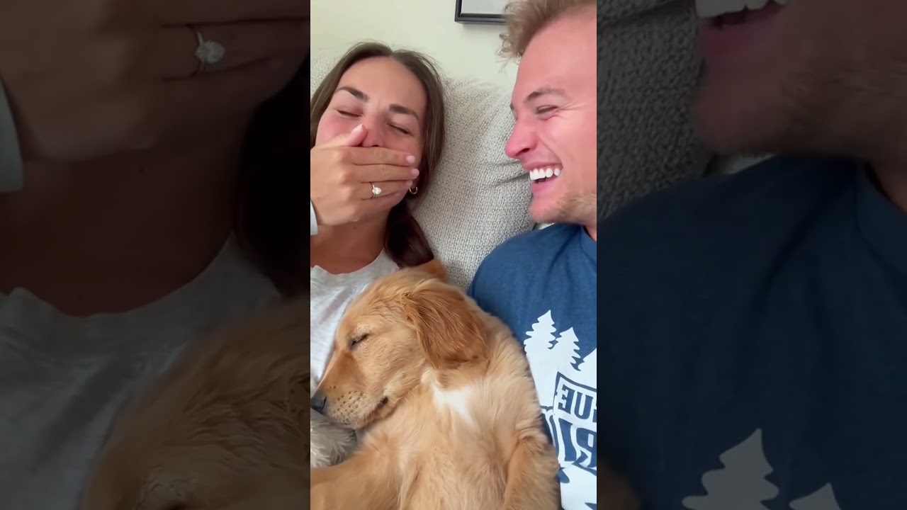 "The Most Hilarious Dog Bloopers! 
