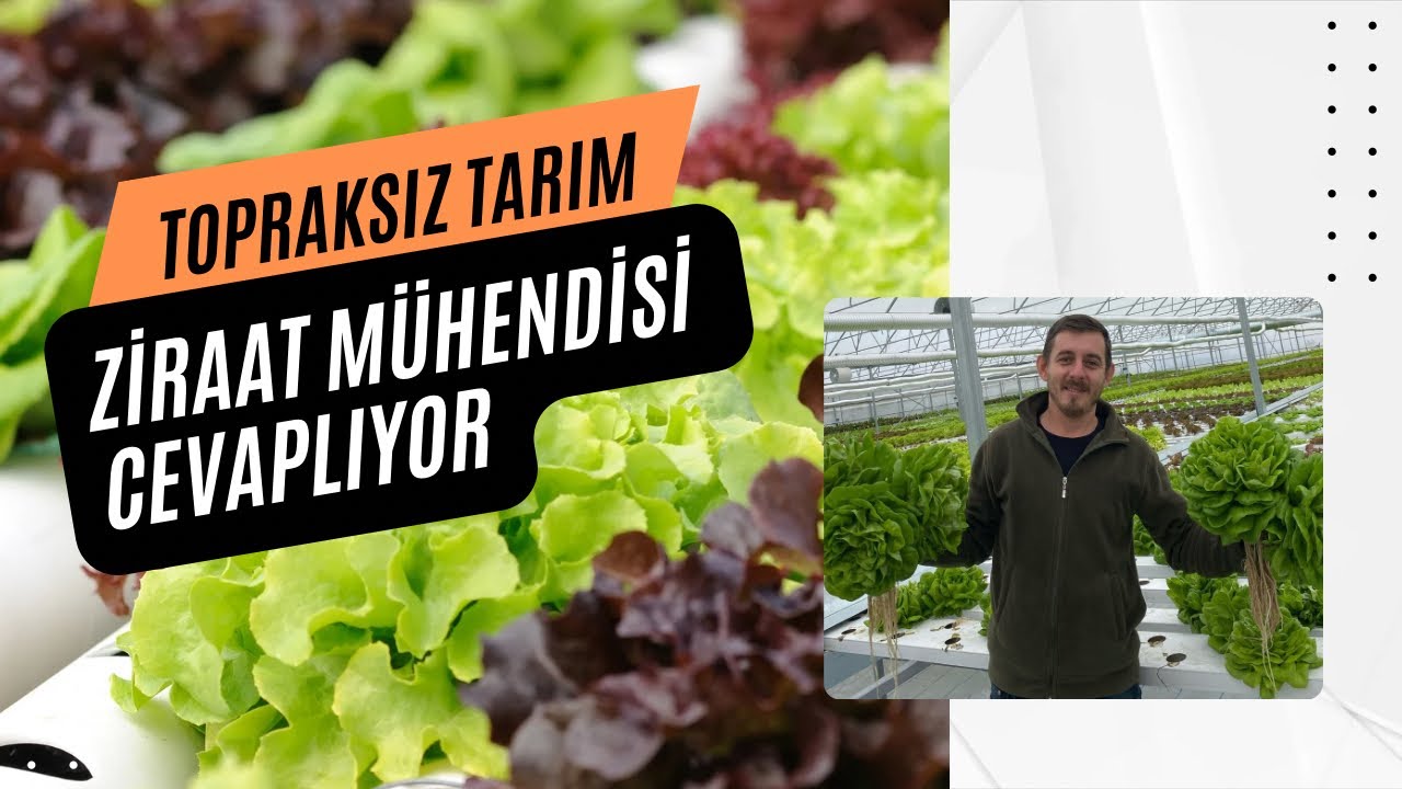 Topraksız Tarım / Ziraat Mühendisi İle Soru Cevap