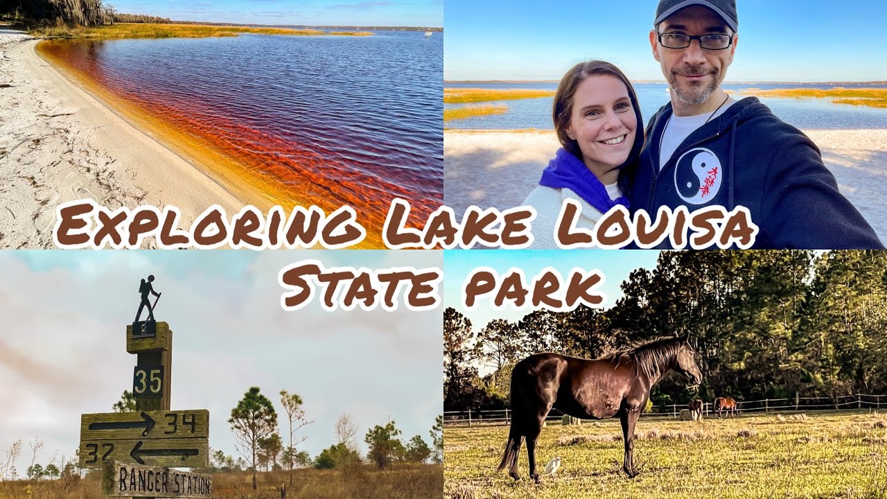 Lake Louisa State Park | Florida State Park | Wonderful Hiking Trail in Central Florida