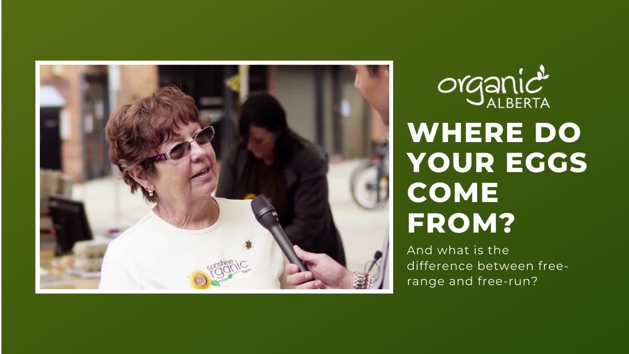 Where do your eggs come from?