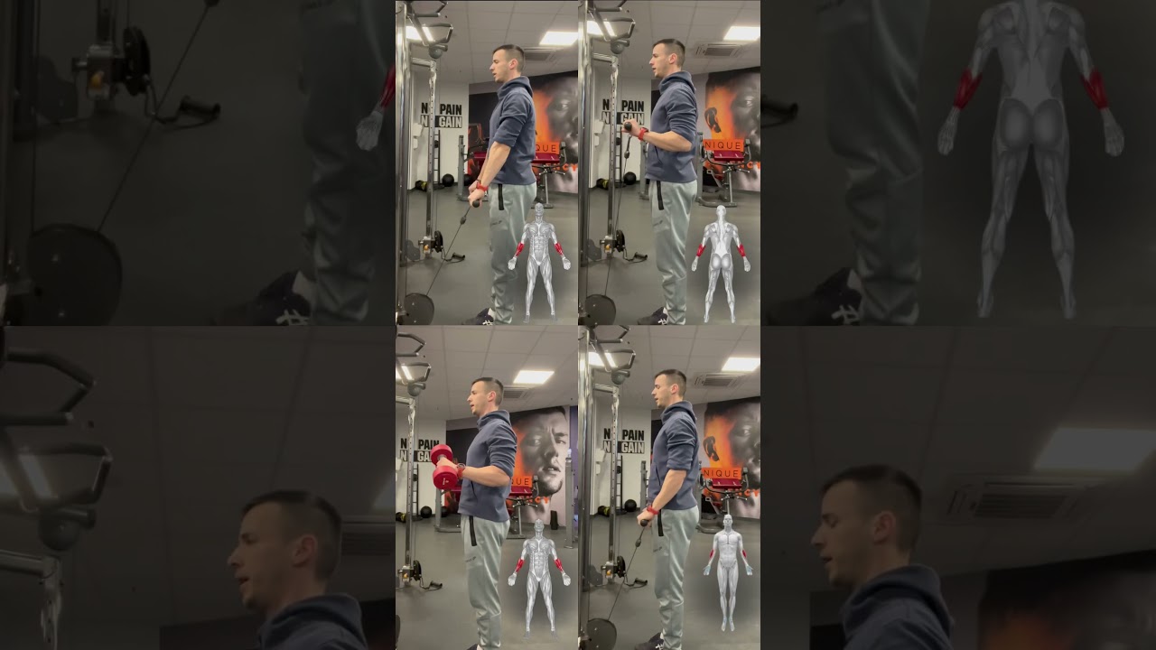4 vježbe za sve mi&scaron;iće podlaktice
