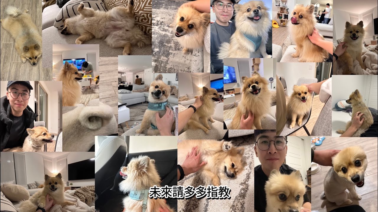 求婚三個禮拜之後，意外被反求婚🥹🥹🥹 —朋友祝福影片🥳🥳🥳
