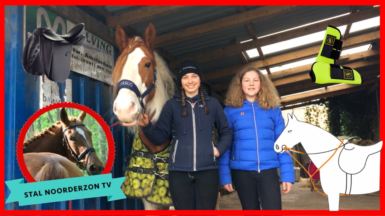 Paard OPZADELEN en AFZADELEN // Stal Noorderzon TV
