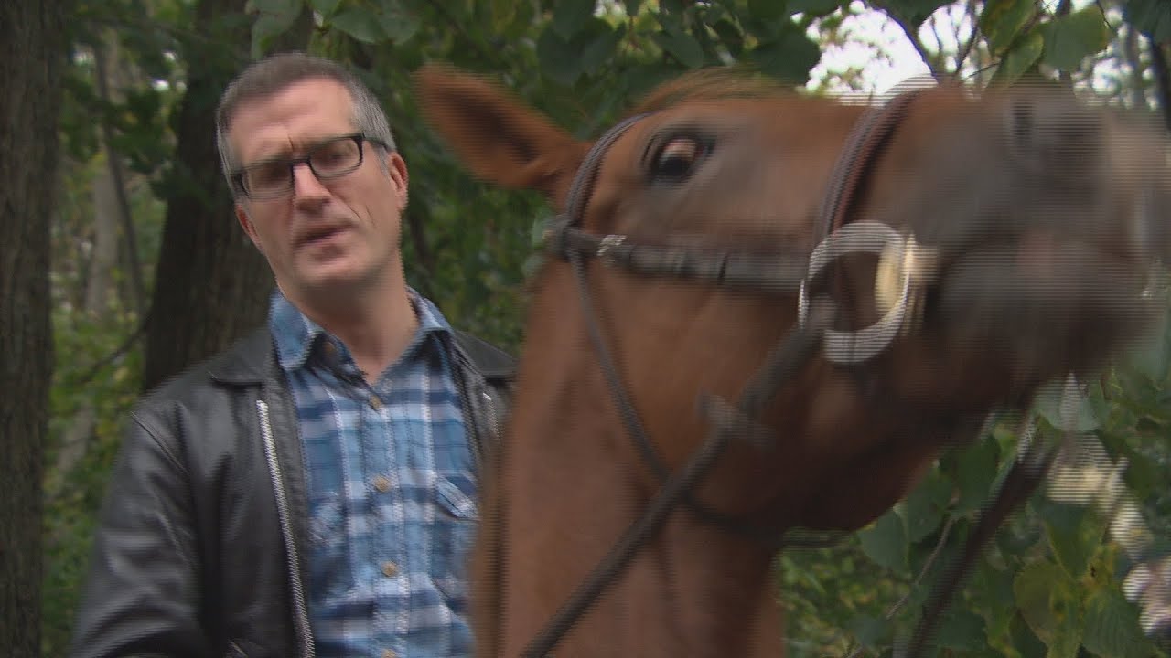BLOOPER: CBC Reporter gets thrown from horse