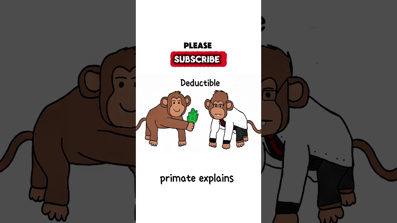 Car insurance explained by monkey #tariffs #brainrot #rtx4070 #insuranceexplained #monkeyexplains