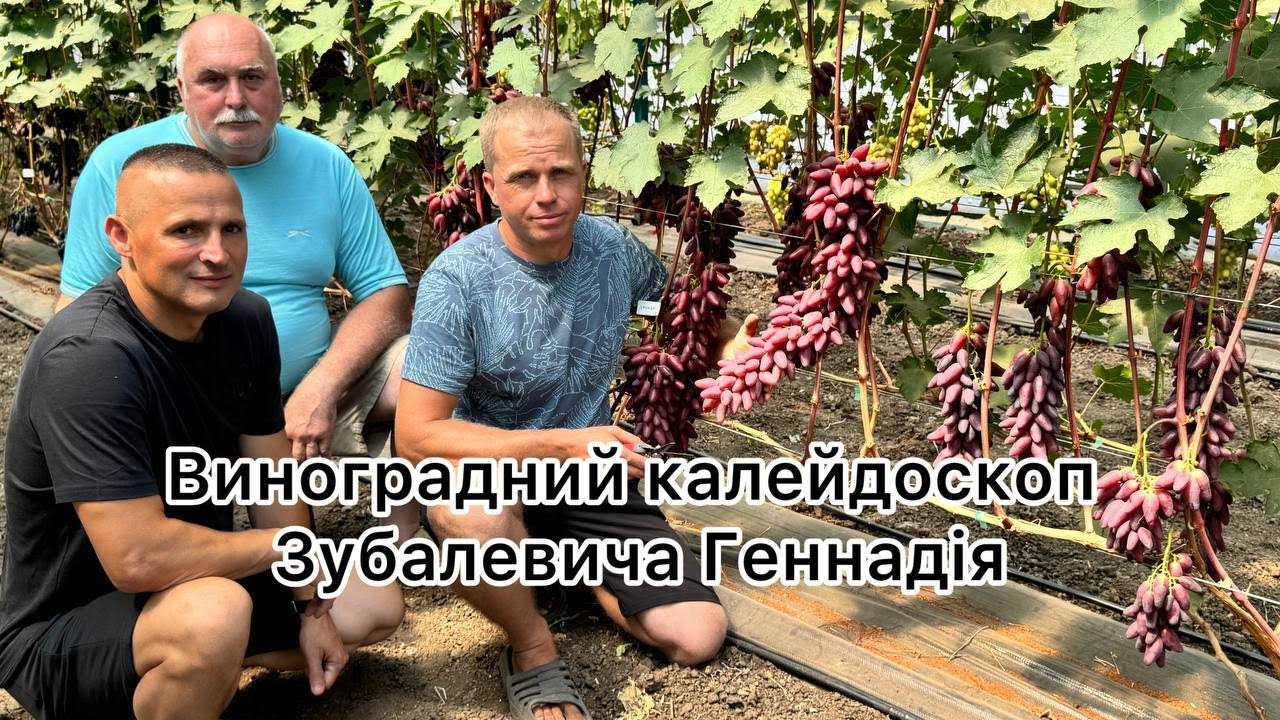 #149-2 (фільм 2 з 2) В гостях у Ткаченко Дмитра (20.07.2025)