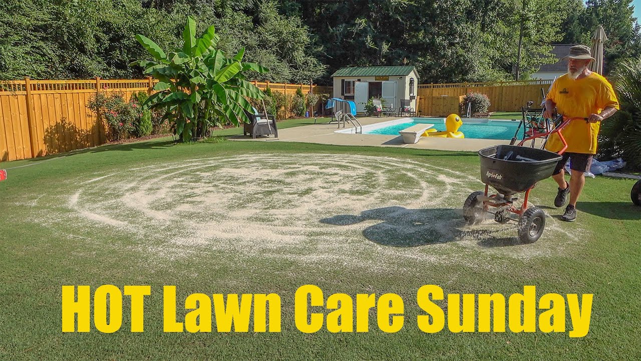 Summer Lawn Care - Cutting the Putting Green