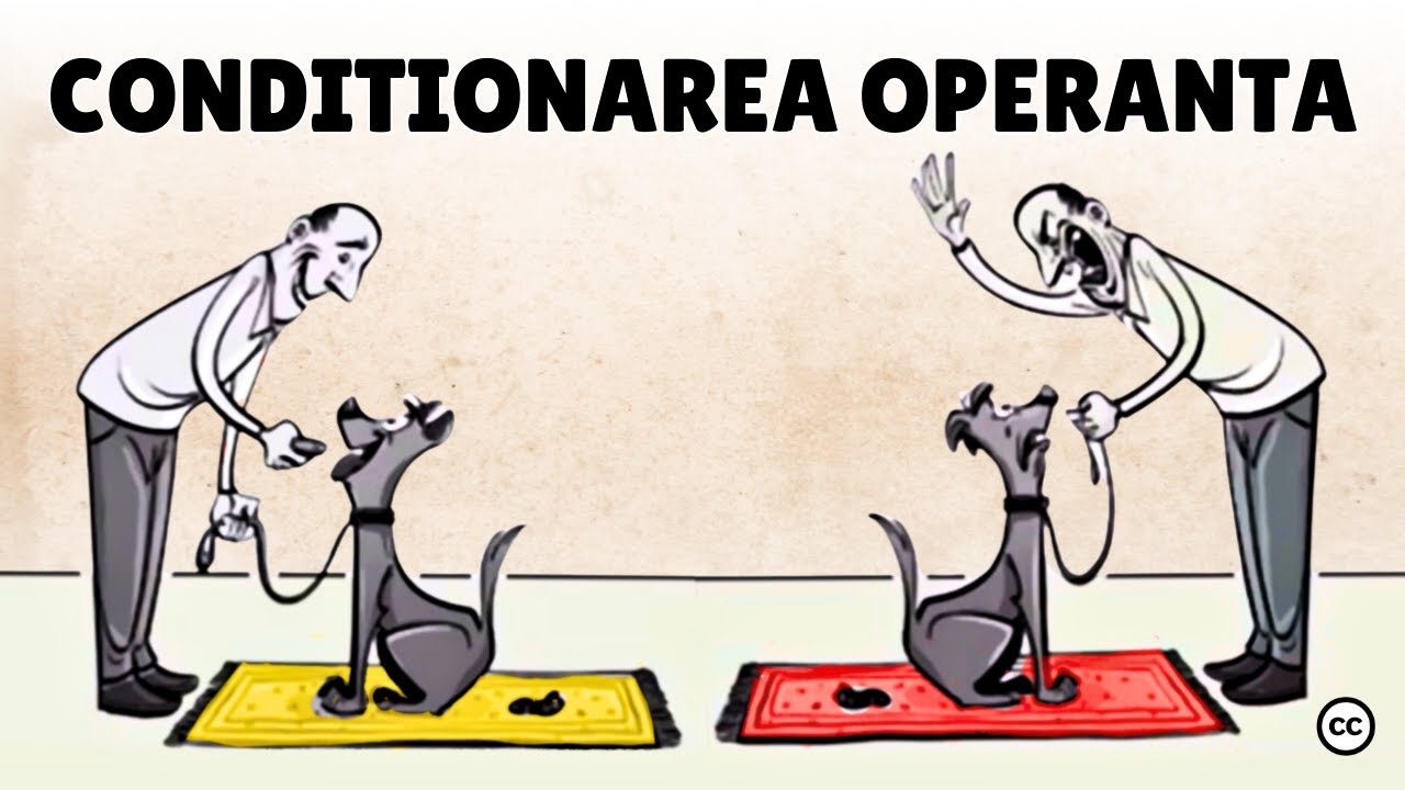 Condiționarea Operantă a lui Skinner: Răsplată și Pedeapsă
