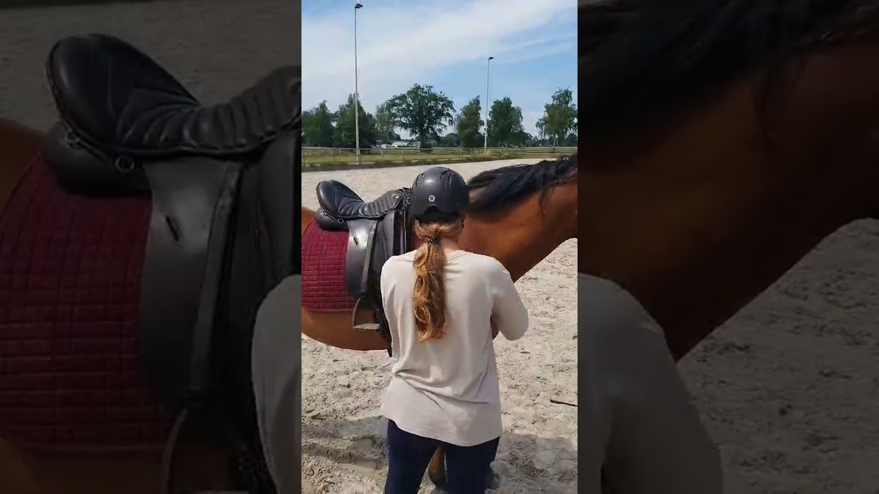 Human & Horse Academy, Instructeursopleiding - opleidingsgroep Lemongrass
