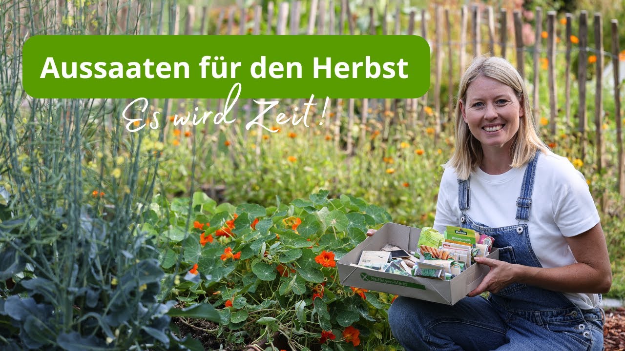 Es wird Zeit - Herbst-Aussaat in den Gemüsebeeten 🌱Möhren, Radieschen, Rübchen, Salate etc.