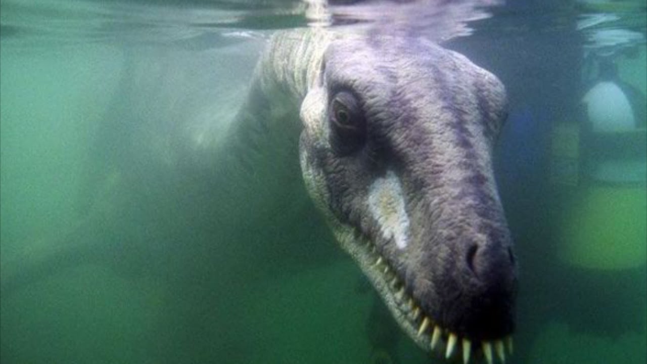 Submechanophobia images with Minecraft cave sounds
