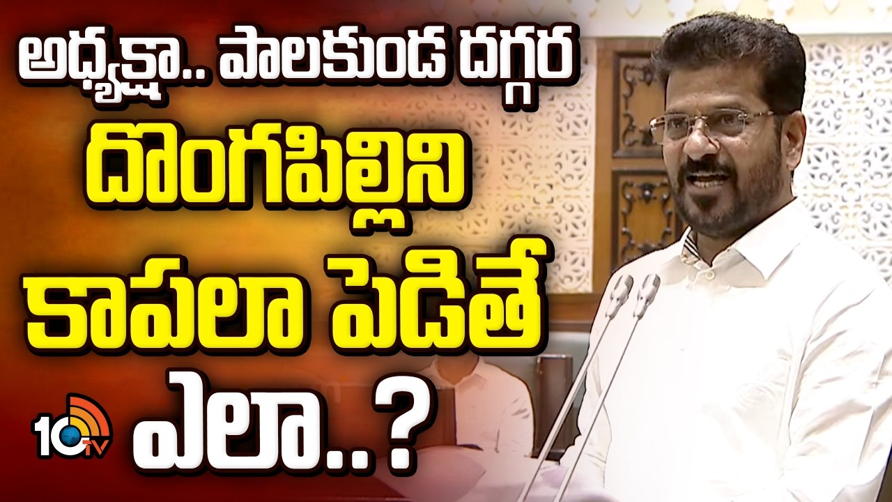 అధ్యక్షా.. పాలకుండ దగ్గర దొంగపిల్లిని కాపలా పెడితే ఎలా..? | CM Revanth Reddy Satires | TG Assembly