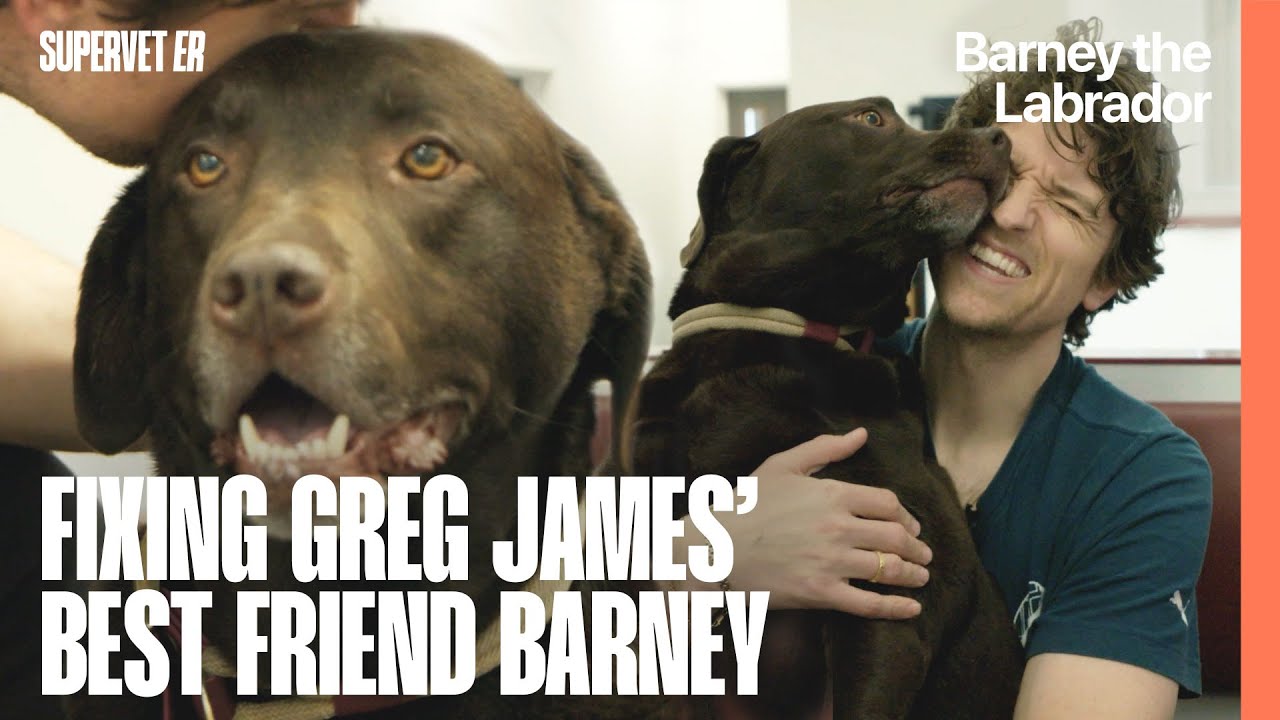 Greg James' Best Friend Barney Gets a New Knee | Supervet ER