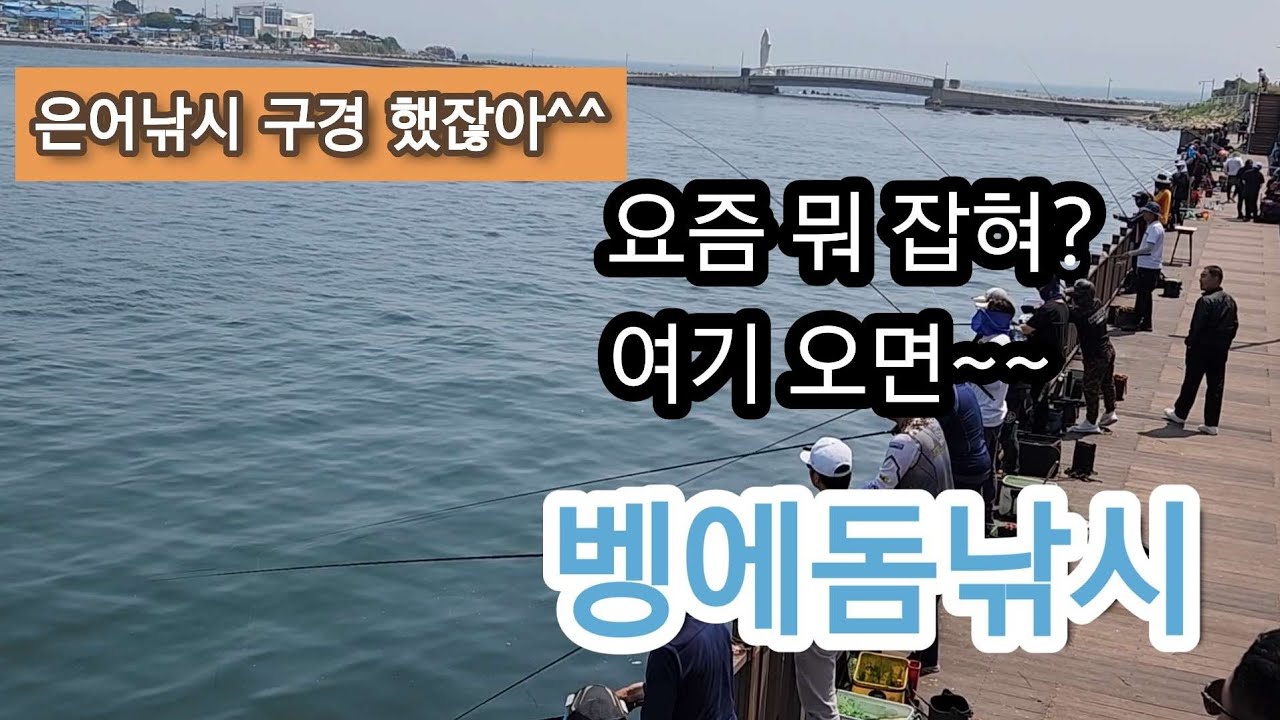 늦게 오면 자리가 없어요. 슬도 벵에돔낚시 (