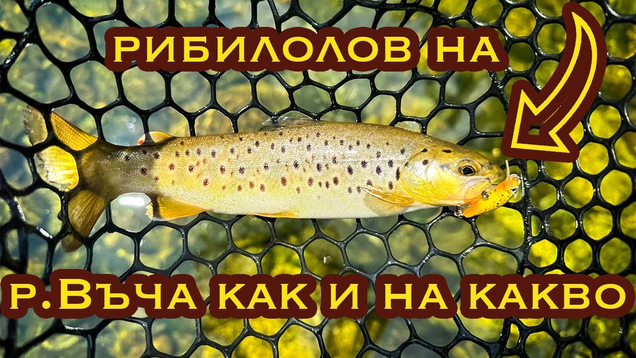 Река Въча - Как и на какво?