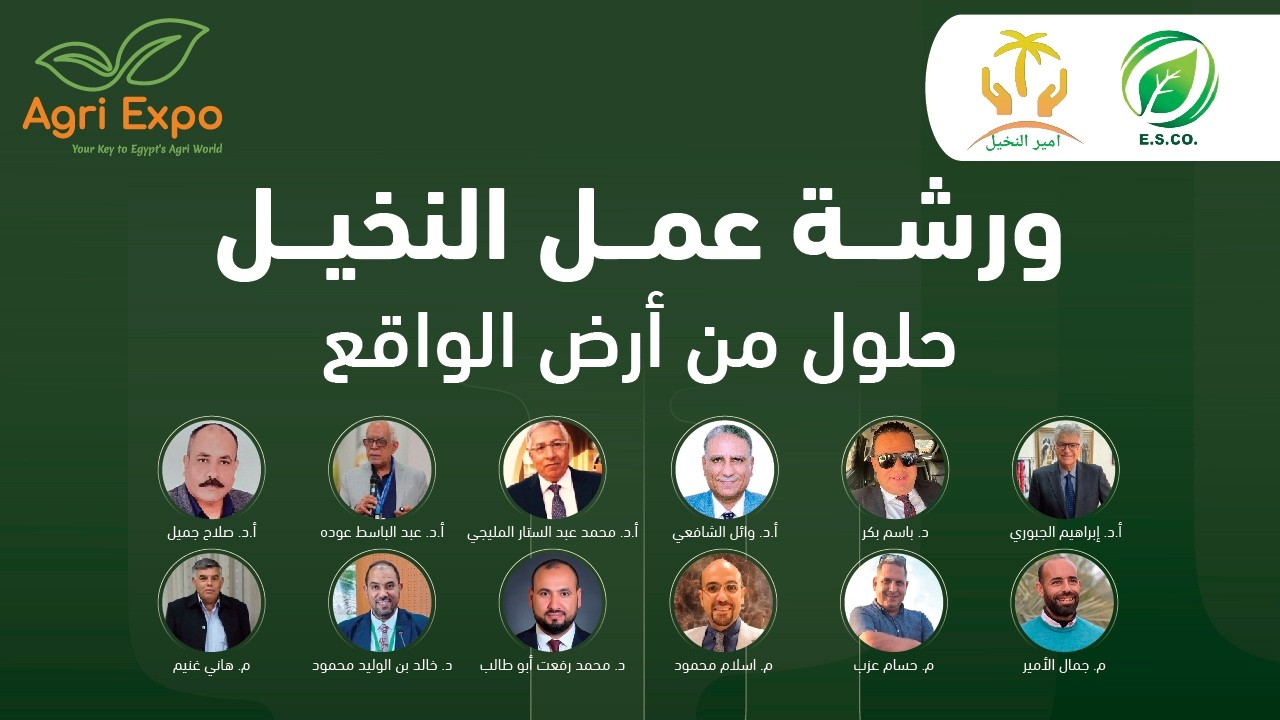 محاضرة عن ورشة عمل النخيل خلال مؤتمر العلمي المصاحب لمعرض أجري إكسبو 2026.