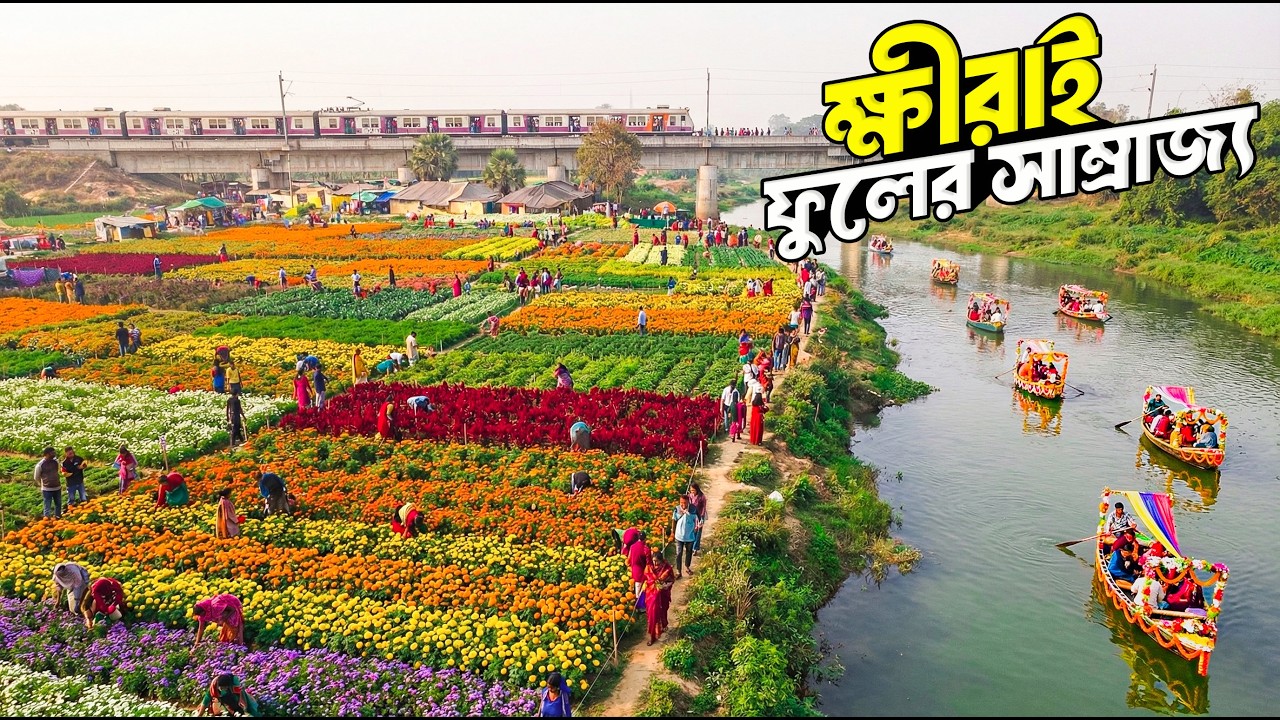 বাংলার বৃহত্তম ফুলের বাগান | Khirai Flower Garden 2026 | Khirai 2025