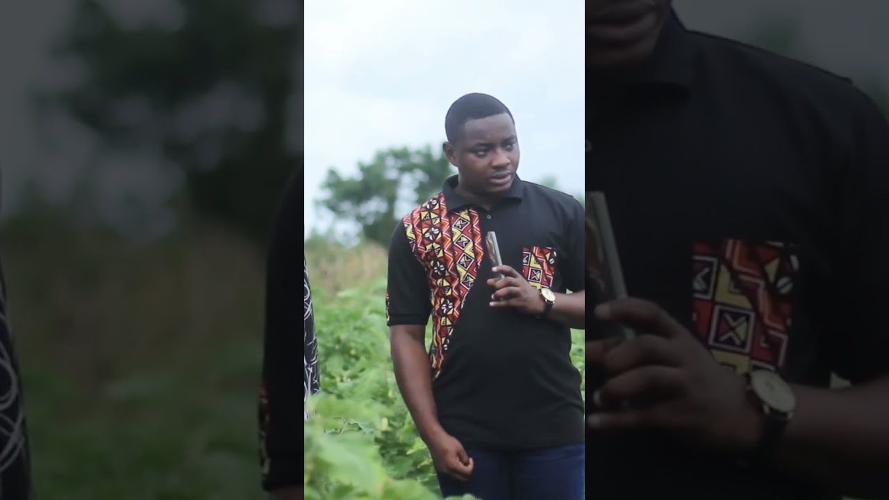 How the Government can assist the Youth in Agriculture #farming #shorts #viralvideo #ghana
