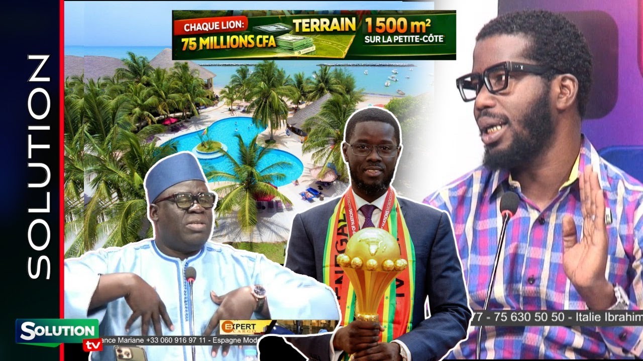 DIOMAYE GATE LES LIONS BAYE ASSANE LÉKE NAGNOU XAALISSOU CAN BI YEUPE...SA NDIOGOU CORRIGE LIONS YI.