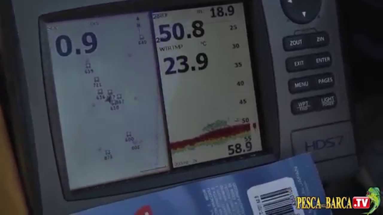 Tecnica di PESCA A TRAINA AL DENTICE con esche vive HD| Trucchi M. Prezioso | Pesca Dalla Barca TV