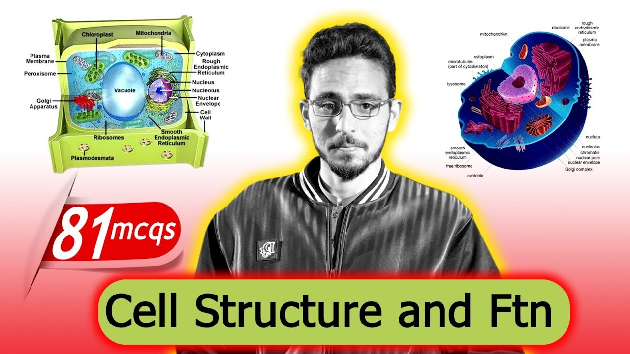 Cell Structure & Function | 81 Important MCQs Explained | QCA Test 2026 | MDCAT Biology