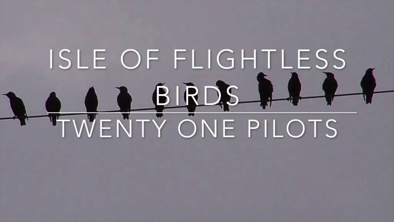 isle of flightless birds - twenty one pilots // lyrics